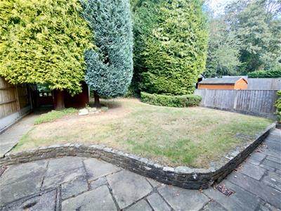 Picture 15